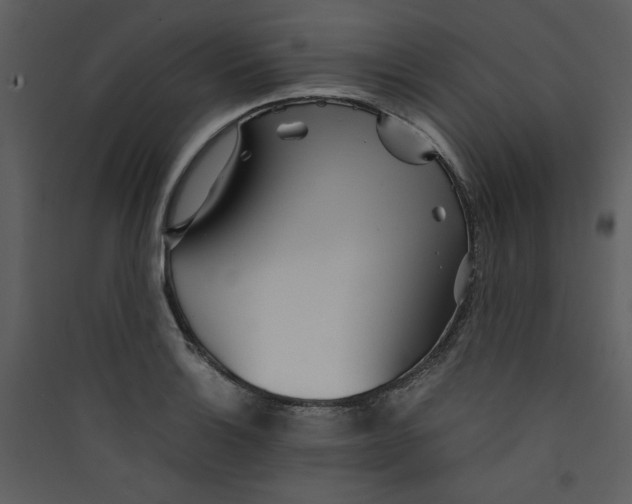X0000089361132200707131609