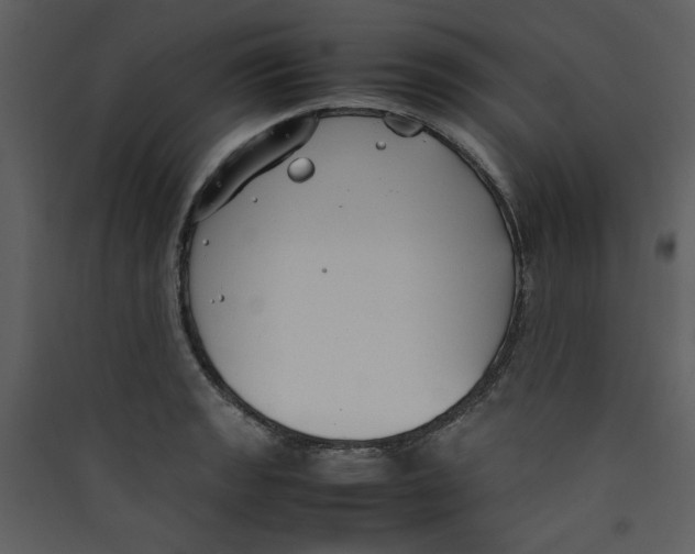 X0000089361133200707131609