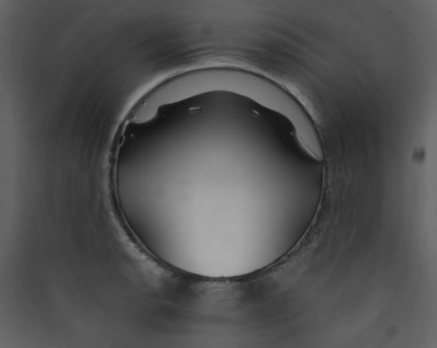 X0000089361134200707131609