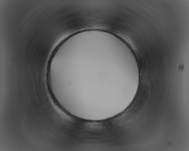 X0000089361135200707131609