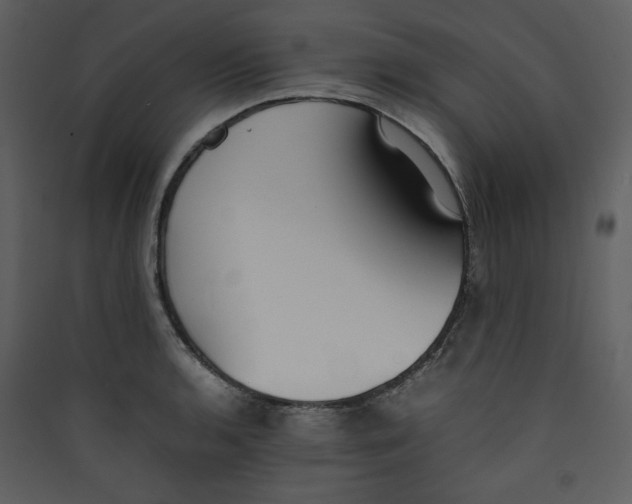 X0000089361136200707131609