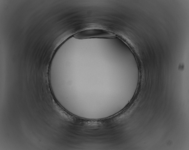 X0000089361137200707131609
