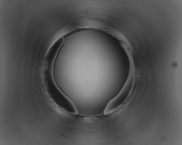 X0000089361138200707131609