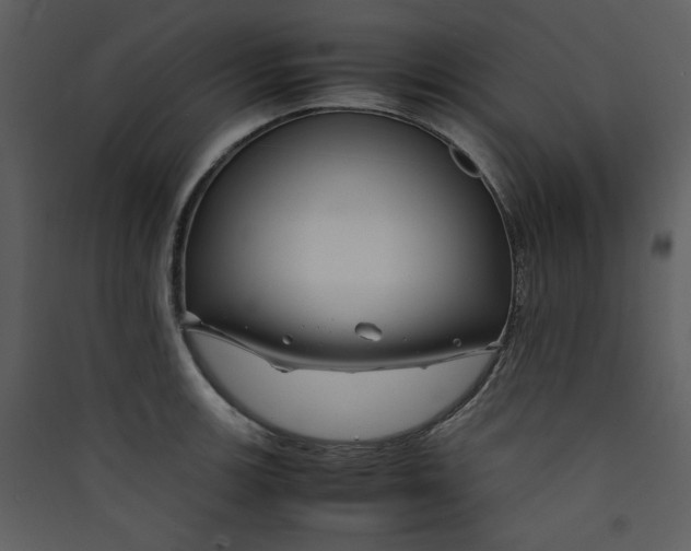 X0000089361139200707131609