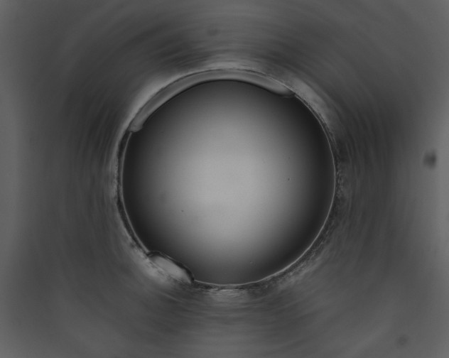 X0000089361140200707131609