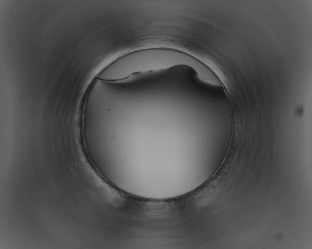 X0000089361142200707131609