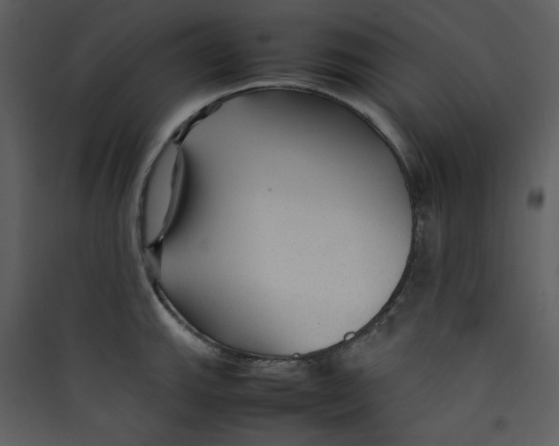 X0000089361143200707131609
