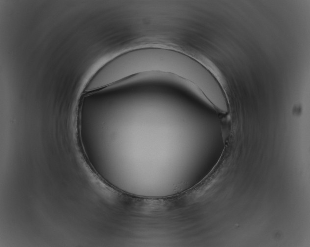 X0000089361144200707131609