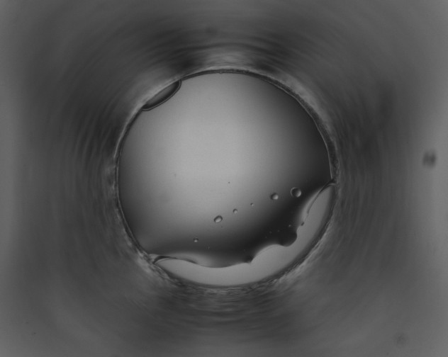 X0000089361145200707131609