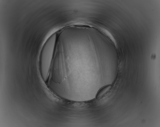 X0000089361146200707131609
