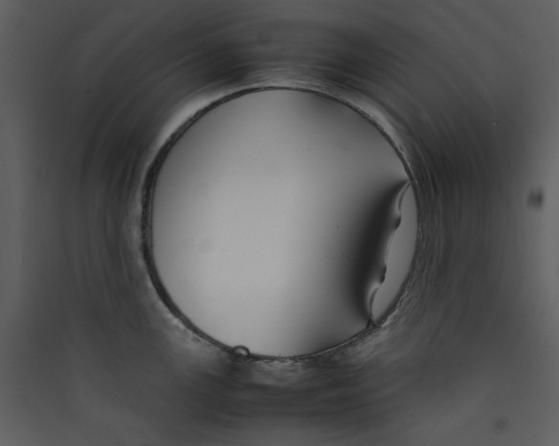 X0000089361147200707131609