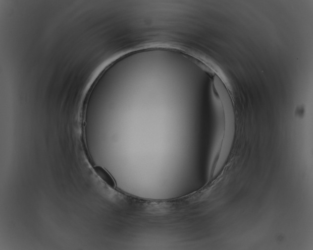 X0000089361148200707131609