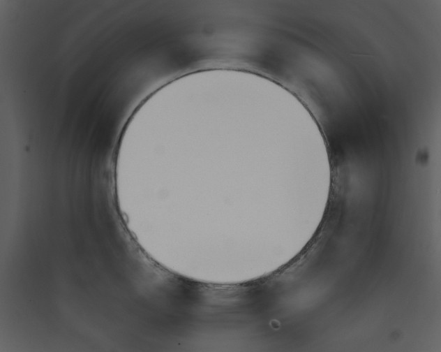 X0000089361150200707131610