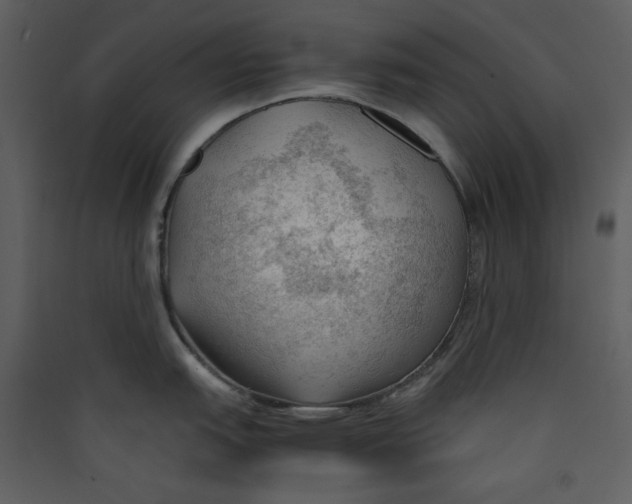 X0000089361151200707131610
