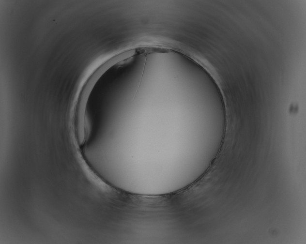 X0000089361152200707131610