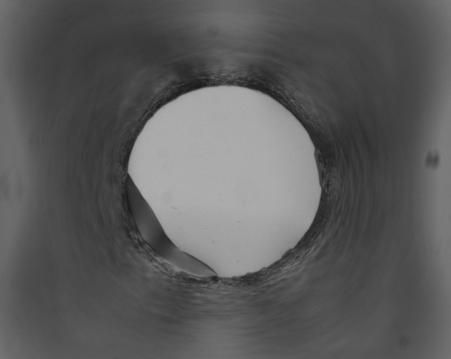 X0000089361153200707131609