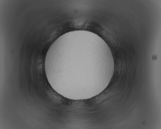X0000089361154200707131609