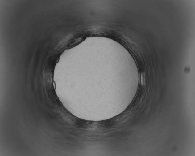 X0000089361155200707131609
