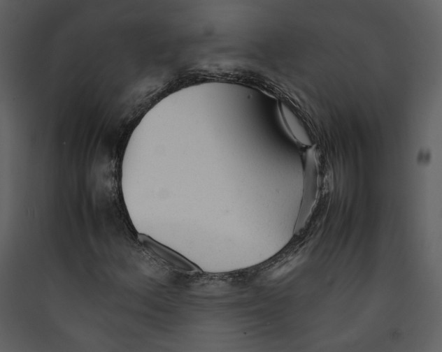 X0000089361156200707131609