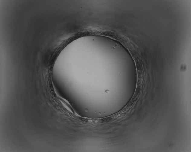 X0000089361157200707131609
