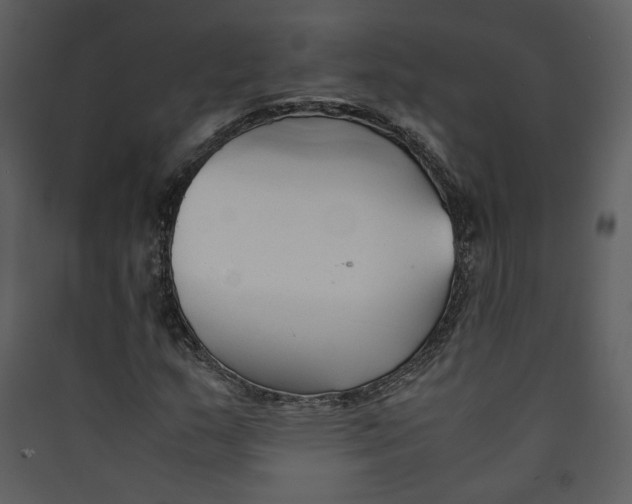 X0000089361159200707131609
