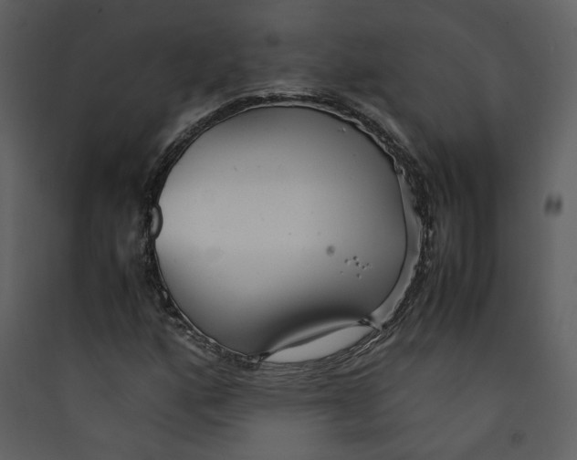 X0000089361160200707131609