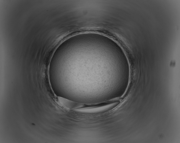 X0000089361161200707131609