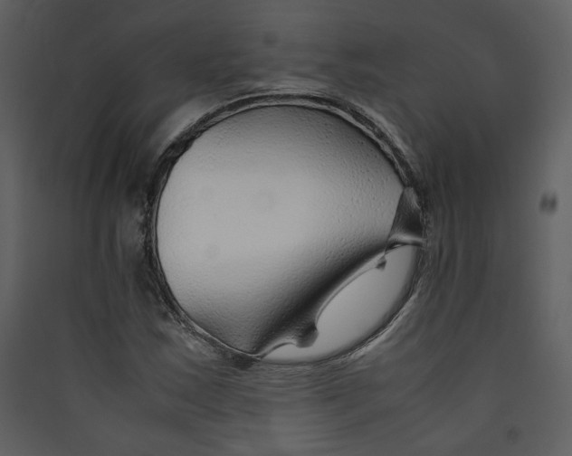 X0000089361163200707131609