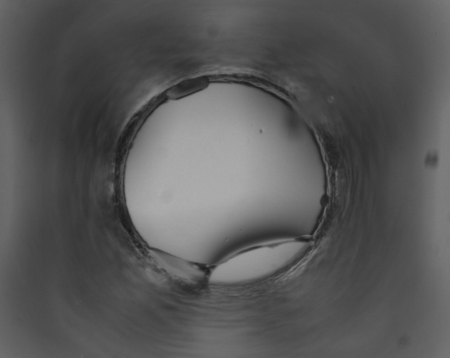 X0000089361165200707131609