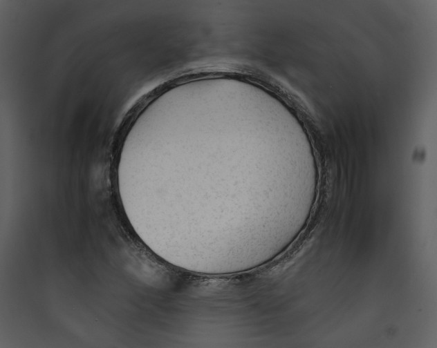 X0000089361166200707131609