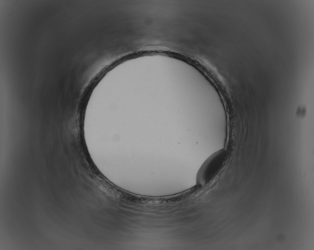 X0000089361167200707131609