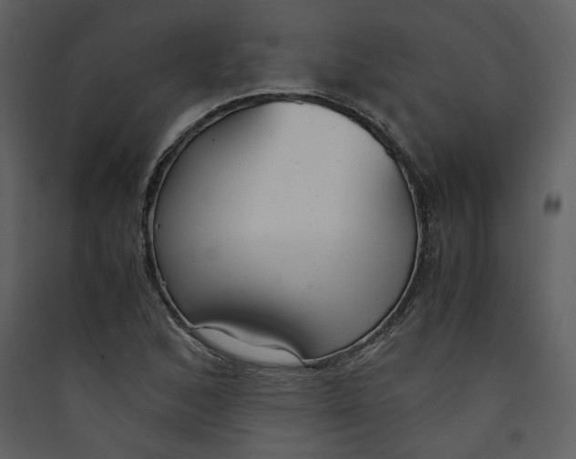 X0000089361168200707131609
