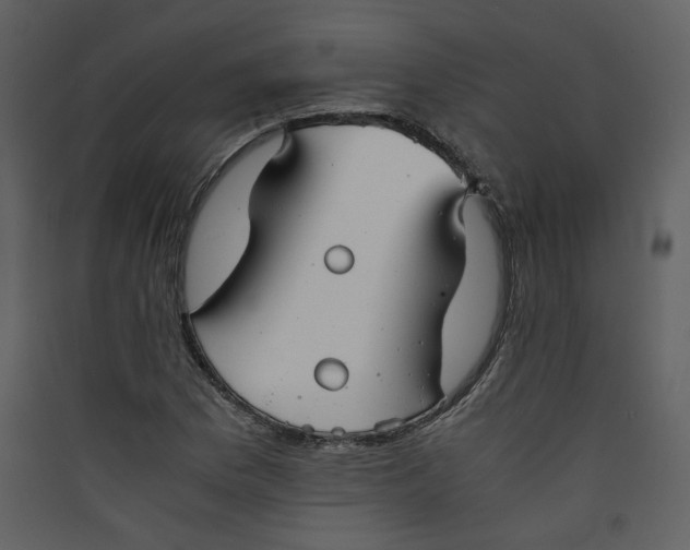 X0000089361169200707131609