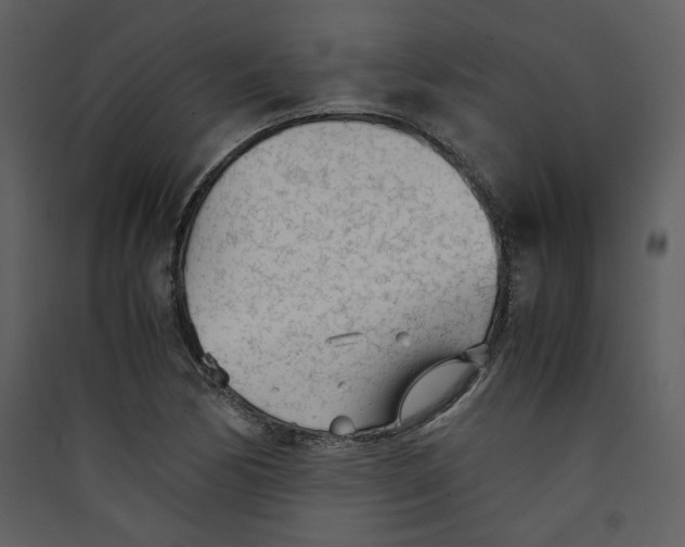 X0000089361170200707131609
