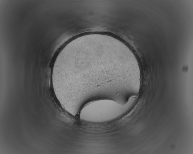 X0000089361171200707131609