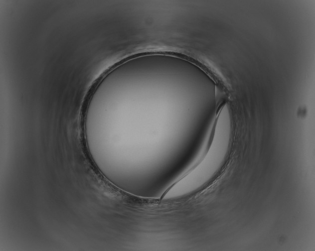 X0000089361173200707131609