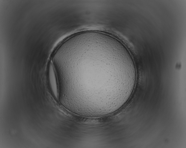 X0000089361174200707131609