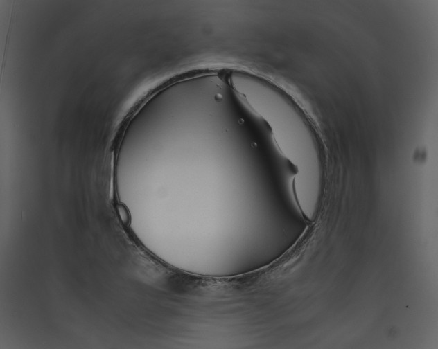 X0000089361175200707131609