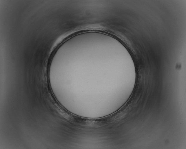 X0000089361176200707131609