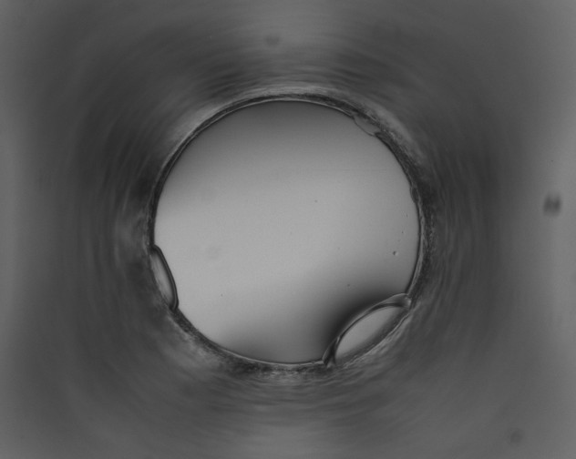 X0000089361177200707131609