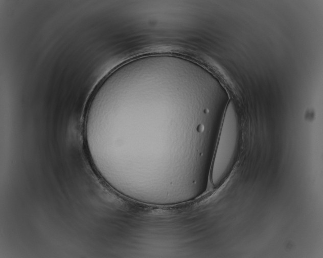 X0000089361178200707131609