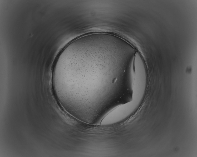 X0000089361179200707131609