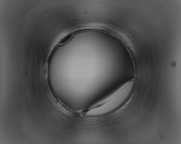 X0000089361180200707131609