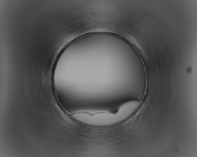 X0000089361181200707131609