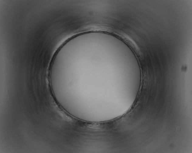 X0000089361182200707131609