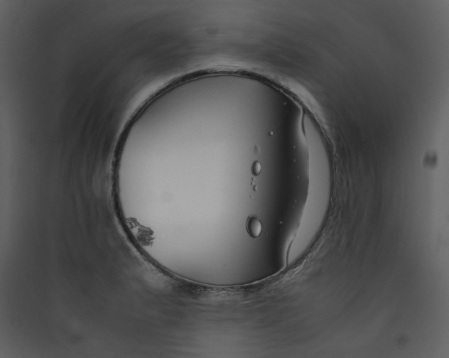 X0000089361183200707131609