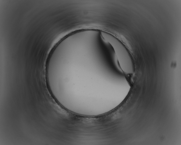 X0000089361184200707131609