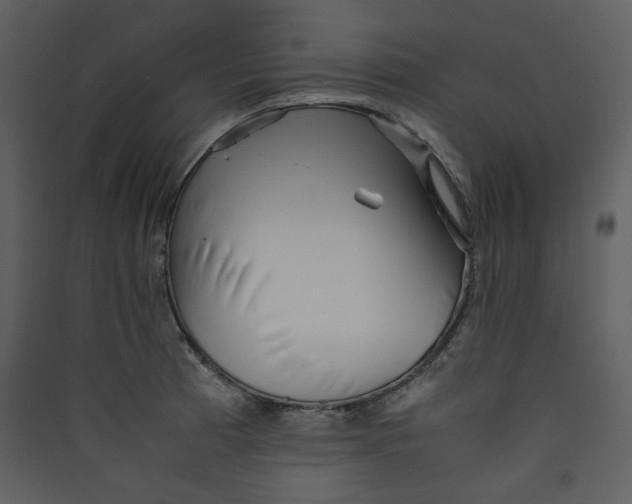 X0000089361185200707131609