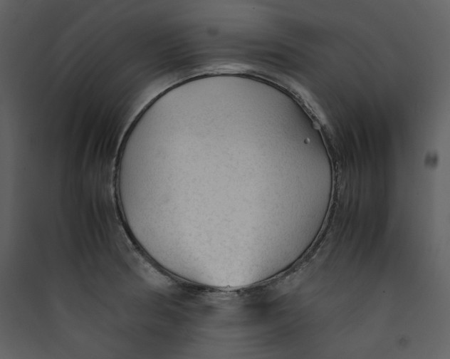 X0000089361186200707131609