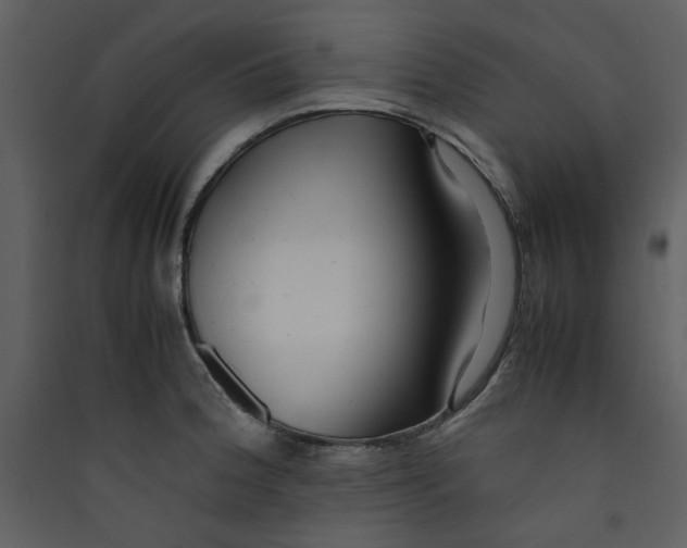 X0000089361188200707131608